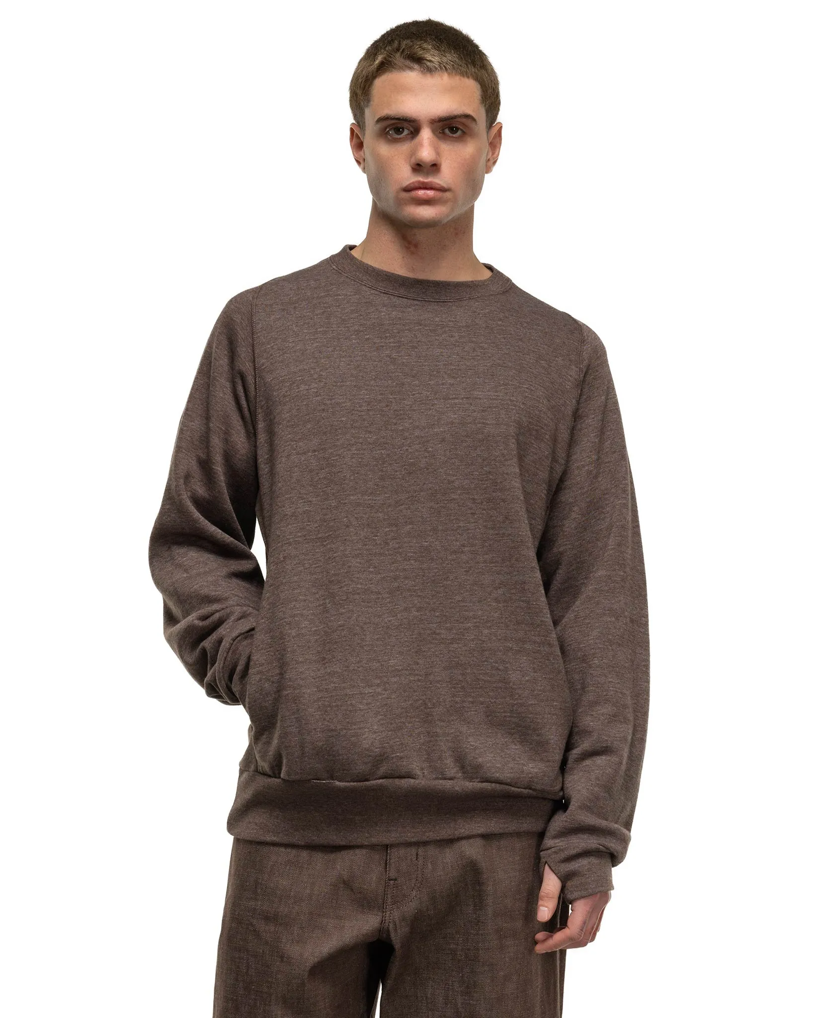 Dweller Crew Pullover C/P/R Sweat Brown