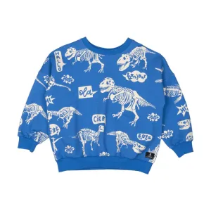 HELLO DINO SWEATSHIRT