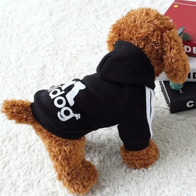 Pat and Pet Emporium | Pet Clothing | Sporty Pet Sweatshirt